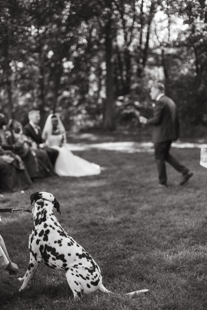Photo of a wedding ceremony at Post Family Farm in Hudsonville Michigan