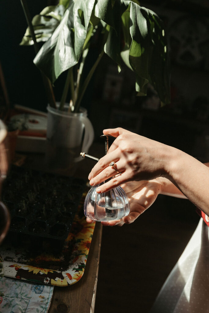 a detail photo of a woman watering house plants