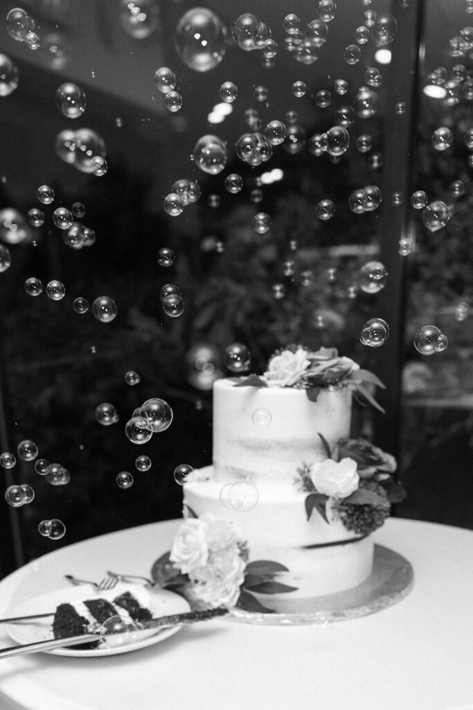 A two-tiered cake adorned with flowers sits on a round table. Bubbles float around the cake, creating a whimsical atmosphere. A plate with cake slices and forks is placed in the foreground. The image is in black and white.